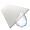 Dream White