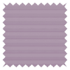 Evissa Lilac