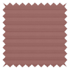 Xyla Rose Pleated Blind