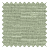 Hayworth Fern