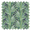 Tropic Rumba