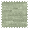 Hayworth Fern