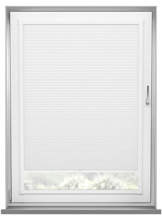 Blenheim Blackout Snowdrop