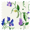 Cath Kidston Sweet Pea Purple Roller Blind