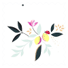 Sara Miller Lemon Cluster White Roller Blind
