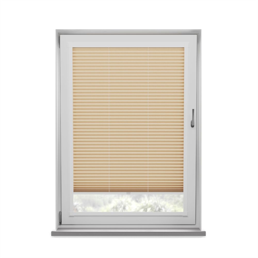 Arlo sales through window