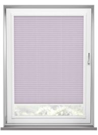 Evissa Lilac