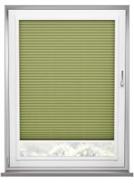 Scandi Olive