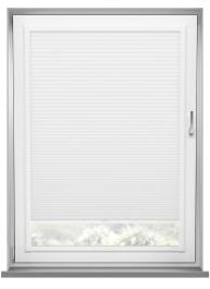 Blenheim Blackout Snowdrop