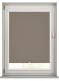 Splash Mushroom Brown