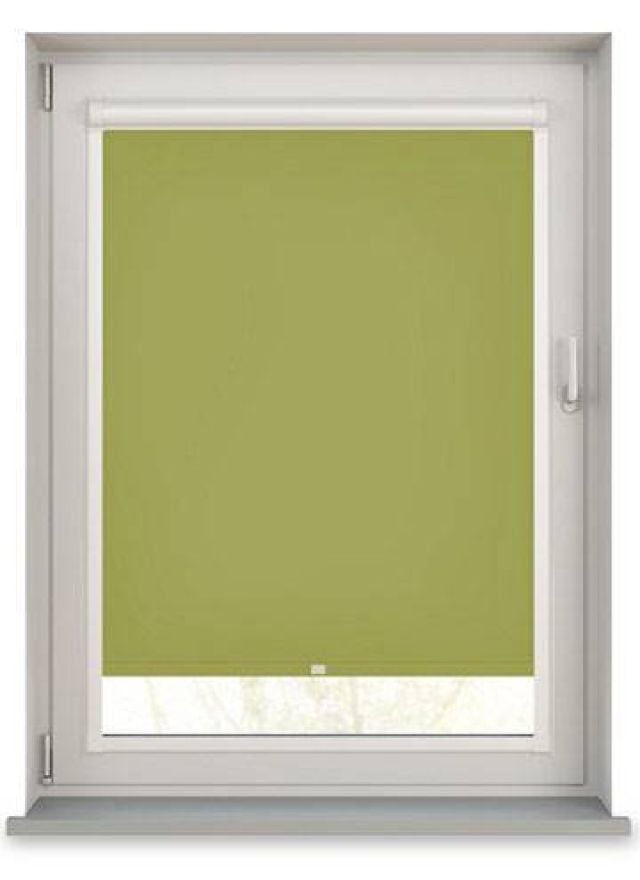 Splash Vine Green