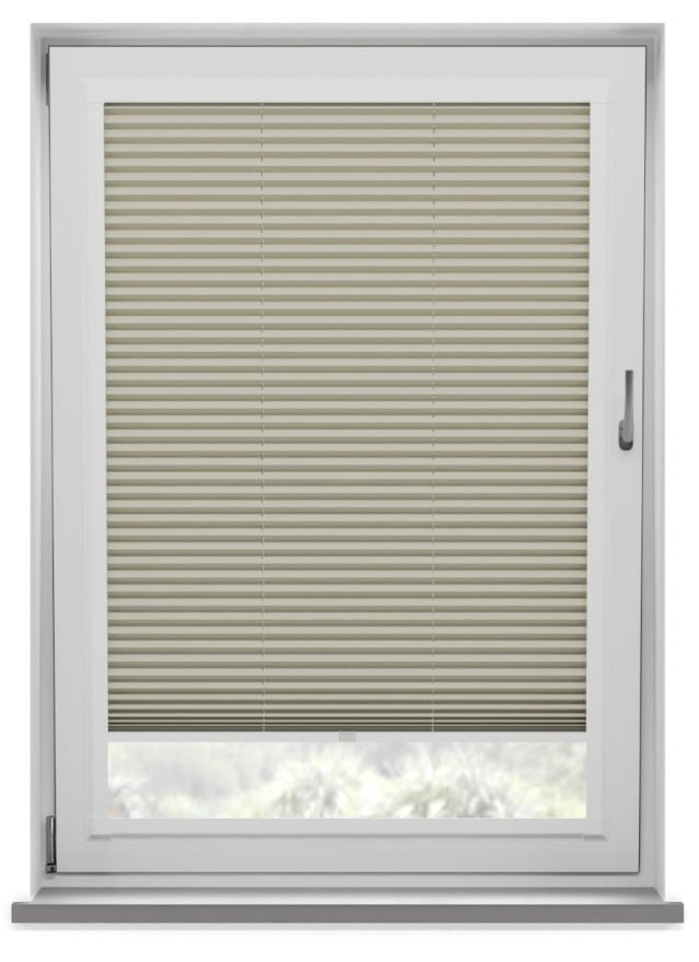 Vista Canary