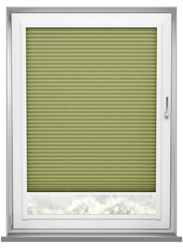 Scandi Olive