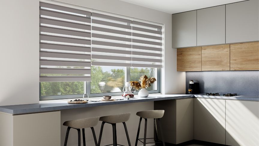 What are Day and Night Blinds?